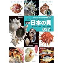 新訂 タカラガイ・ブック 日本のタカラガイ図鑑 Cowries of Jpana