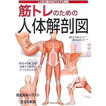ネッター解剖学カラーリングテキスト | JohnT. Hansen, 貞和