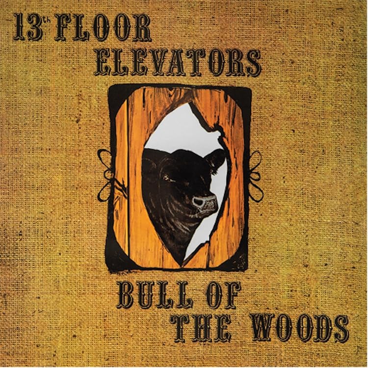 Amazon.co.jp: Psychedelic Sounds Of The 13th Floor Elevators