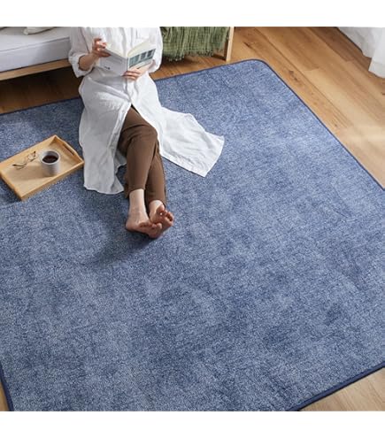 Amazon｜スミノエ(Suminoe) ラグ グレー 130×185cm フィルナス｜ラグ