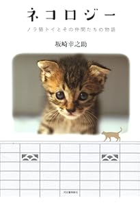 Amazon.co.jp: 坂崎幸之助 書写真集 記念 : 坂崎幸之助: 本