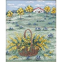 刺しゅう（欧風刺繍） 輸入刺しゅうキット 『Summer Fruit BK768』 DMC ディーエムシー