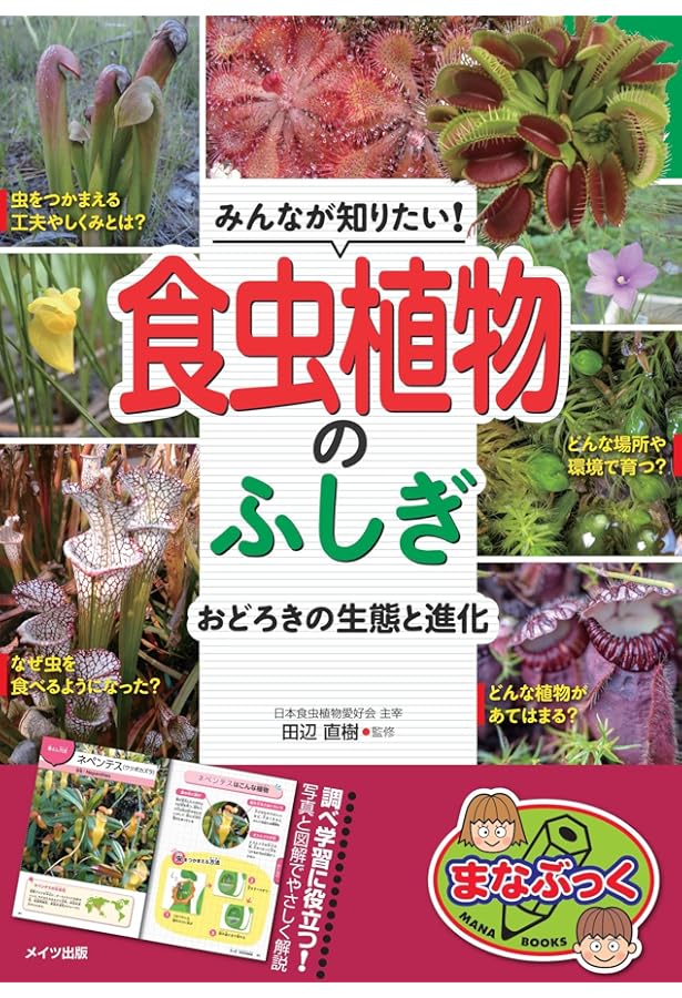 食虫植物・おもしろ植物 (ブティックムックno.1289) | , A Tropical