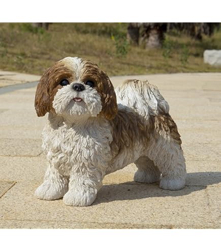 Amazon.co.jp: ブラック&ホワイト スタンディング シーズー ツーズ