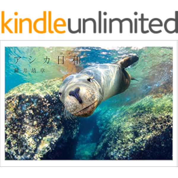 アシカ日和 鍵井靖章 写真 Kindleストア Amazon