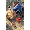 美女と野獣 ディズニー - 美女と野獣 FVGA(480×800)壁紙 40658