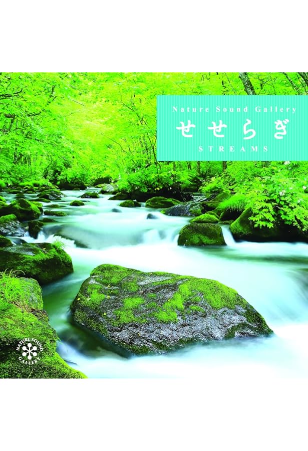 ★希少★耳鳴りに悩んだ音楽家がつくったCDブック 耳鳴りに悩んだ音楽家がつくったCDブック 【付録CD:Music for