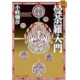 図解 曼荼羅入門 (角川ソフィア文庫)