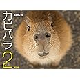 カピバラ2