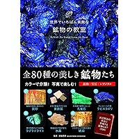 光る石ガイドブック: 蛍光鉱物の不思議な世界 (ROCK&GEMコレクション