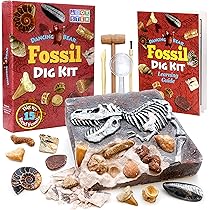 Amazon.co.jp: テムズ&コスモス I Dig It!トレジャー – エジプト