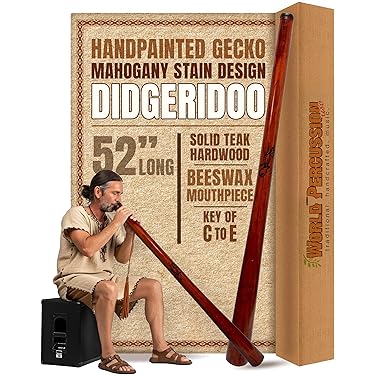 Amazon.co.jp 売れ筋ランキング: ディジュリドゥ の中で最も人気のある