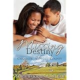Missing Destiny (A Chandler County Novel Book 1)