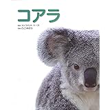 コアラ くらべてみよう どうぶつの赤ちゃん こういち むらた 本 通販 Amazon