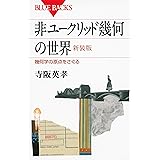 非ユークリッド幾何の世界 新装版 (ブルーバックス)