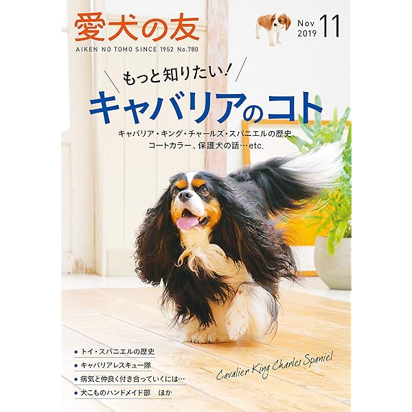 愛犬の友 19年 11月号 雑誌 本 通販 Amazon