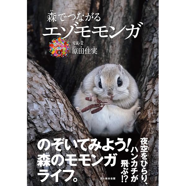 Amazon.co.jp: 世界一かわいいエゾモモンガ eBook : 進啓士郎: Kindle