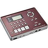TASCAM(タスカム) CD-GT2 ギター練習 CDプレーヤー チューナー 小型 コンパクト ポータブル キーチェンジ スピード・テンポチェンジ ギターキャンセル マイナスワン バンド練習