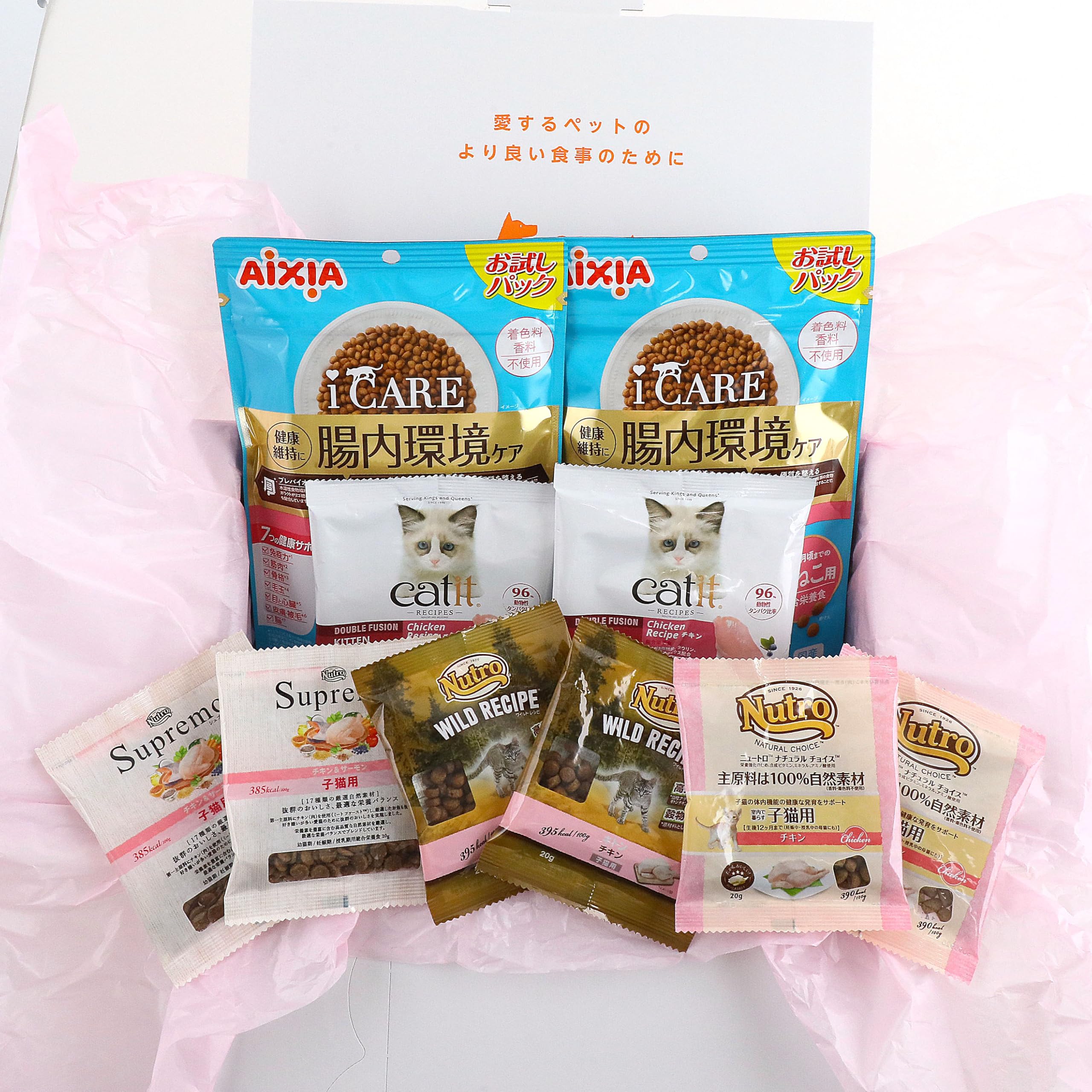 ペットプロフィール Family Box 子猫
