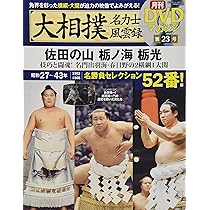 919aXcj-rWL._AC_UL210_SR210,