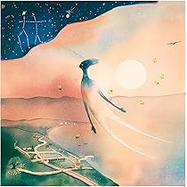 美品 限定盤 レコード 2枚組 小山田壮平 The Traveling Life Amazon.co.jp: THE TRAVELING LIFE(初回限定盤:CD+DVD