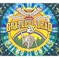 Sunshine Daydream-CD+DVD-