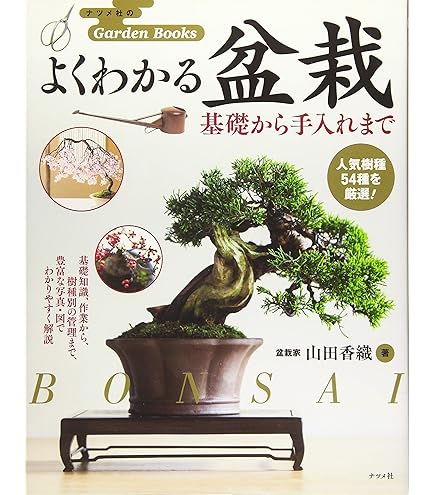 Amazon | 千吉 回転式 盆栽台 幅240×高さ530×奥行き240mm 一台入