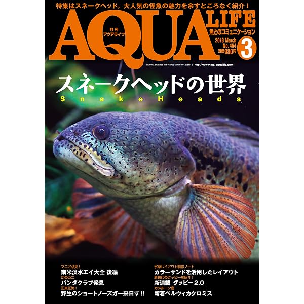 月刊アクアライフ 2023年 07 月号 スネークヘッドに歴史あり！ [雑誌