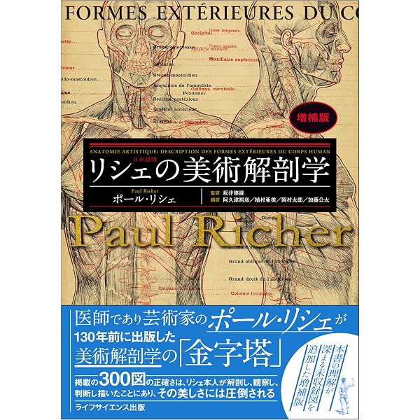 Amazon.co.jp: ゴットフリード・バメスの美術解剖学 コンプリート
