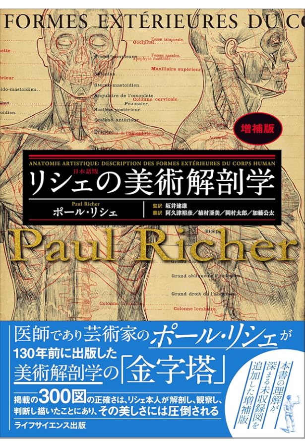 Amazon.co.jp: ゴットフリード・バメスの美術解剖学 コンプリート