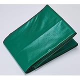 TRUSCO(トラスコ) エステルトラックシート 2t用 2.9m×3.6m TETS-2