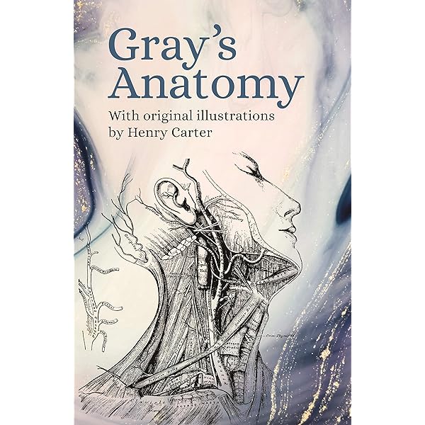 Amazon | Gray's Anatomy for Students | Drake PhD, Richard L., Vogl