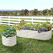 91AIAy2br5L._AC_UL210_SR210,