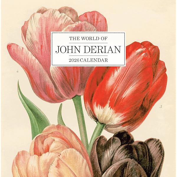 Amazon | John Derian Picture Book II | Derian, John | Decorating