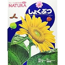 91AQNrpB4bL._AC_UL210_SR210,