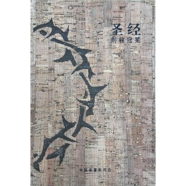 Amazon.co.jp: 聖經-當代譯本(地圖金翻口彩繪仿皮索引2版精裝)/圣经