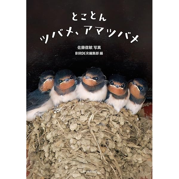 Amazon.co.jp: BIRDER (バーダー) 2023年 04月号 [雑誌] eBook