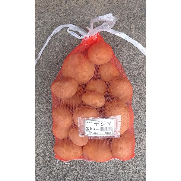 ナッツ② 新ジャガ(長崎黄金) Mサイズ25kg 種 じゃがいも