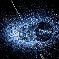 Amazon.co.jp: WONDER and WONDER(初回生産限定盤)(DVD付