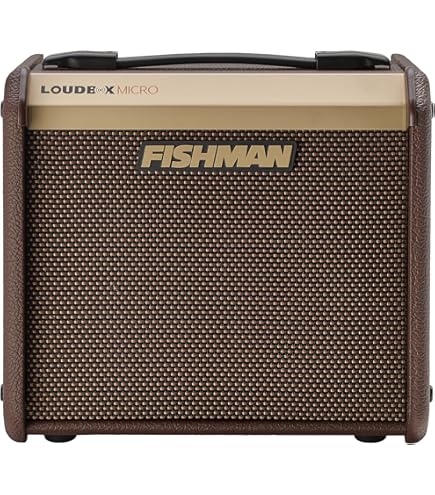 Amazon | Fishman Neo-D 木目調 シングルコイル サウンドホール