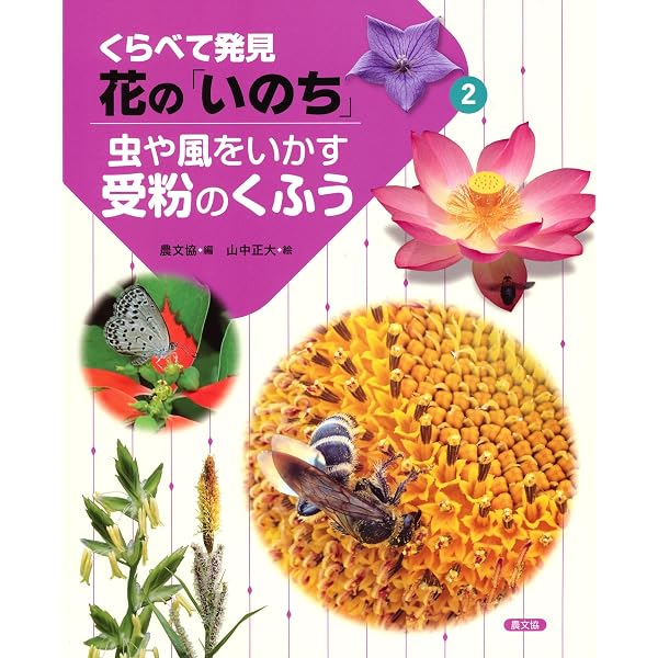 いっぱいあるよ!花のつくり (1) (くらべて発見花の「いのち」 1