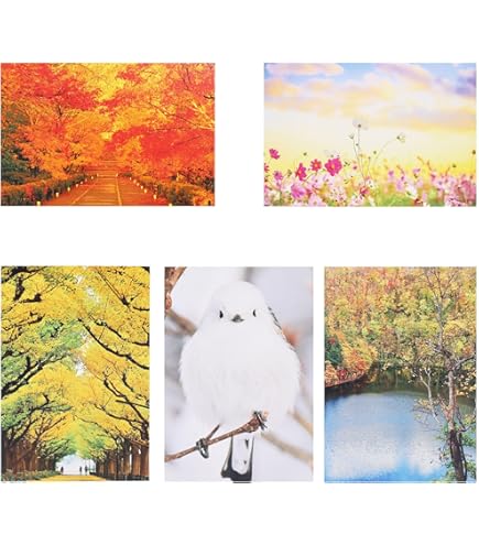 Amazon.co.jp: チ。-地球の運動について- 特典特殊カード ポストカード