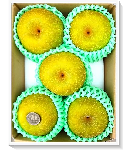 Amazon.co.jp: 市川梨 約5kg 8～16玉 幸水 秀品 大玉中心 贈答規格