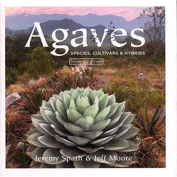 Amazon | Agaves: Living Sculptures for Landscapes and