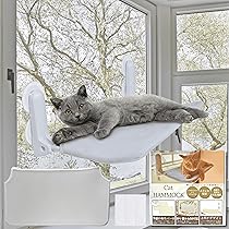 Amazon.co.jp: fabuon life ねこのきもち・猫びより掲載 2025年新