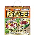 カダン除草王シリーズ オールキラー粒剤 2kg