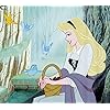 小鳥たちと戯れるオーロラ ディズニー - 小鳥たちと戯れるオーロラ QHD(1080×960) 77799