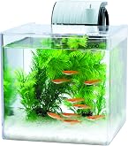 Amazon | カインズ(CAINZ) 育成キット L 23L ホワイト はじめての金魚