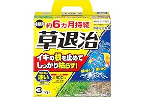 住友化学園芸 除草剤 草退治E粒剤 3kg 強力 持続 最大散布600㎡ スギナ 顆粒