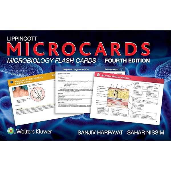洋書 Biochemistry Flash Cards 洋書 Biochemistry Flash Cards Biochemistry Flashcard